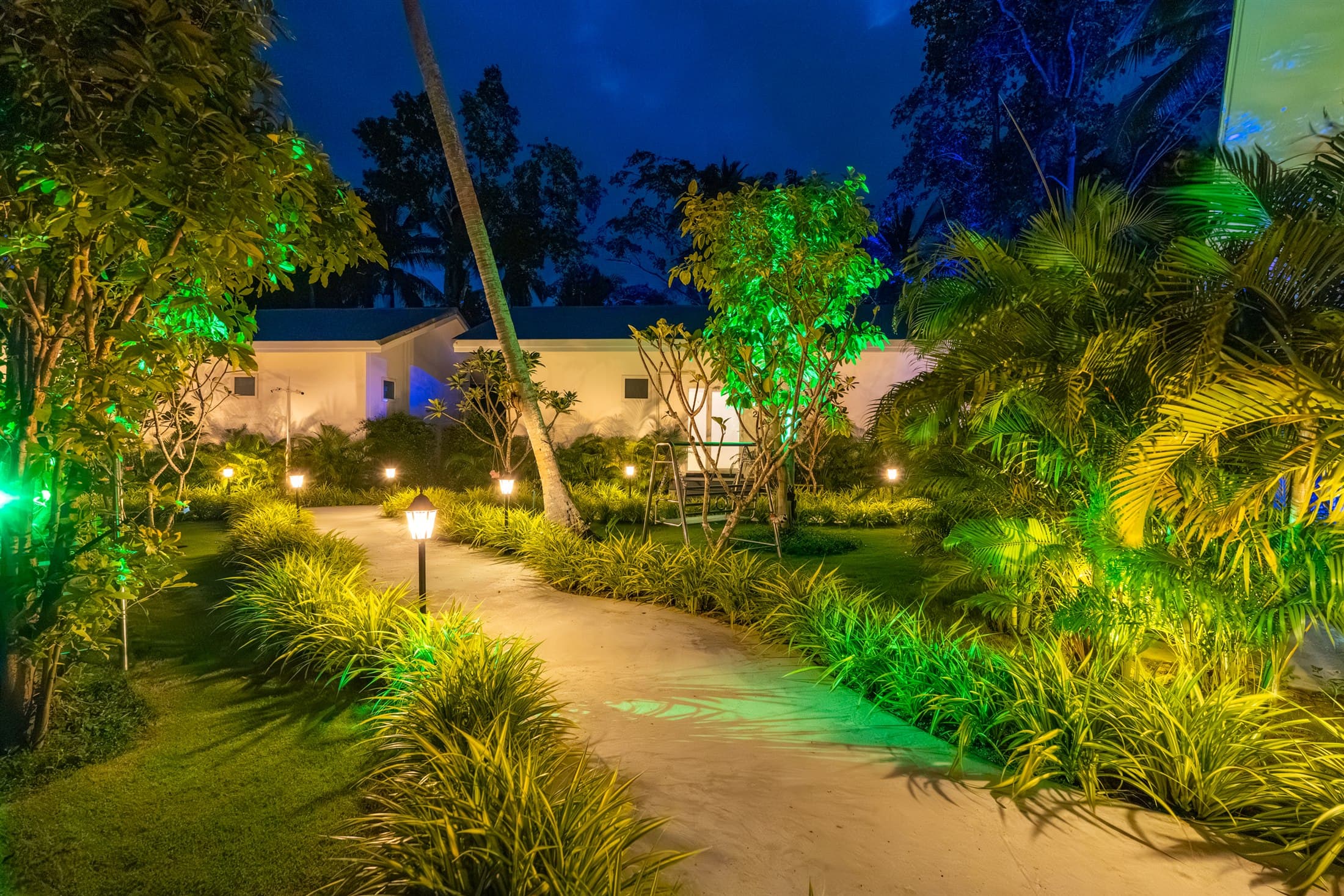 Tropical garden approach after dark